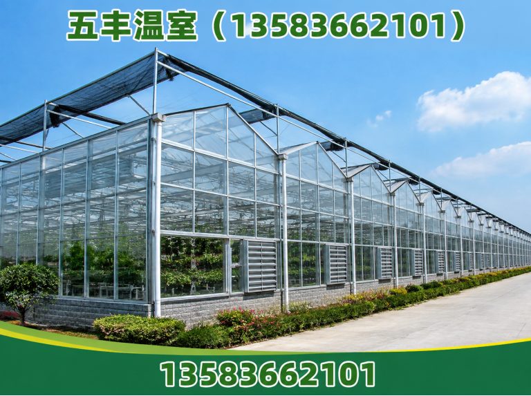 安丘市大棚建设展示图