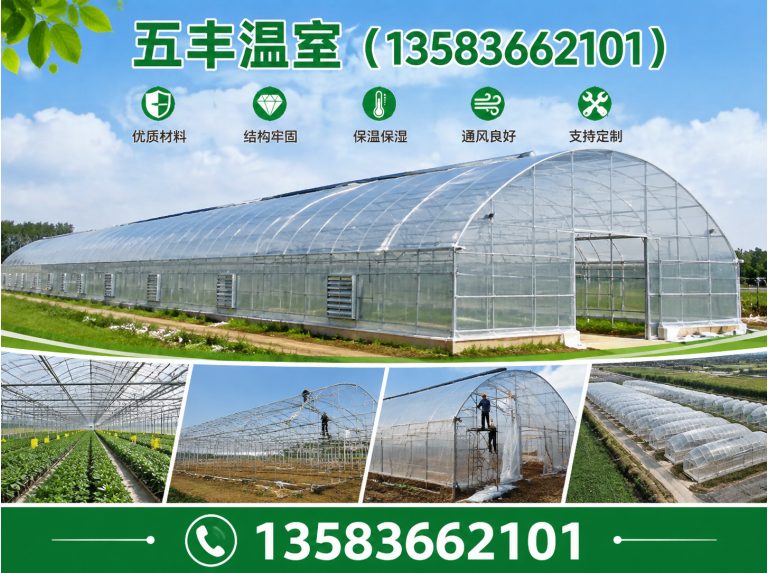 安丘市玻璃温室展示图